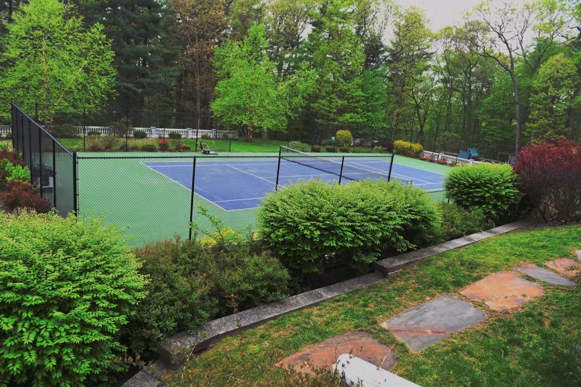 Private Court in Backyard Mansion