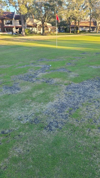 Tarpon Woods Golf Club