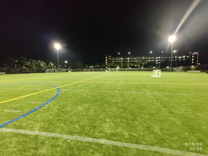 Intramural fields