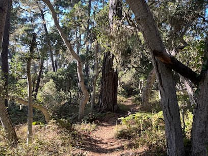 Rip Van Winkle Open Space