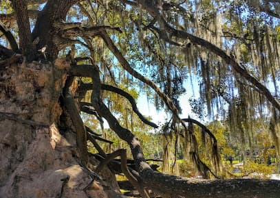 Hillsborough County Medard Park