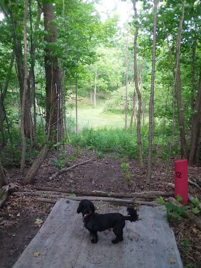 Little slice of heaven disc golf course