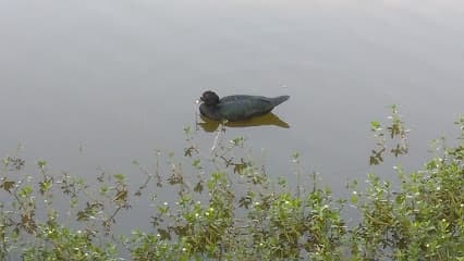 Don & Susan Stillwell Park