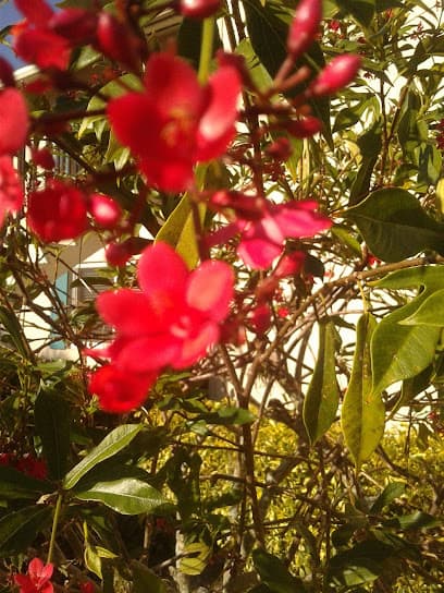 Glades Country Club Maintenance