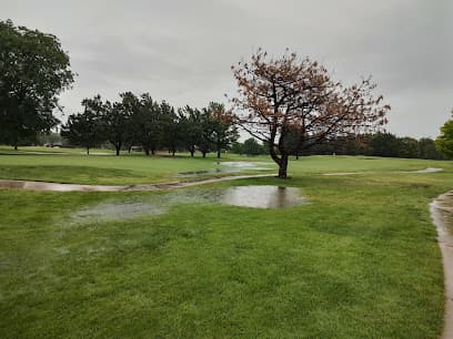 Sim park golf course #10 green