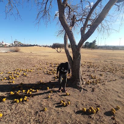 Hacienda Heights Park