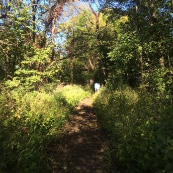 Steinhauser Park disc golf course