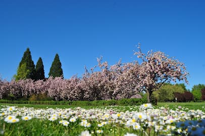 Blue Lake Regional Park