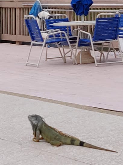 Jacaranda Recreation Center