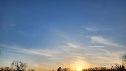 Jones Park Pickleball Courts