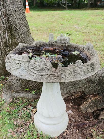 Village-Larchmont Recreation