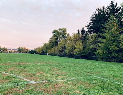 Perry Hall Park - Lax Fields