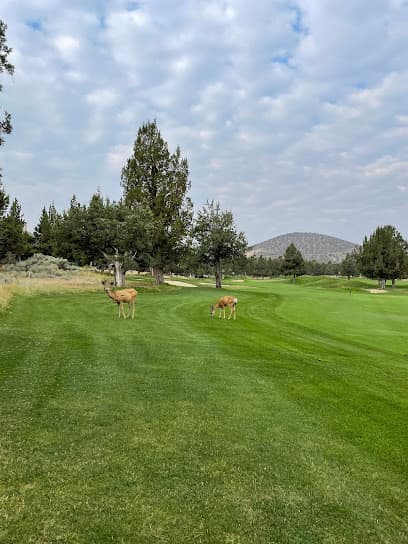Eagle Crest Resort - Ridge Course
