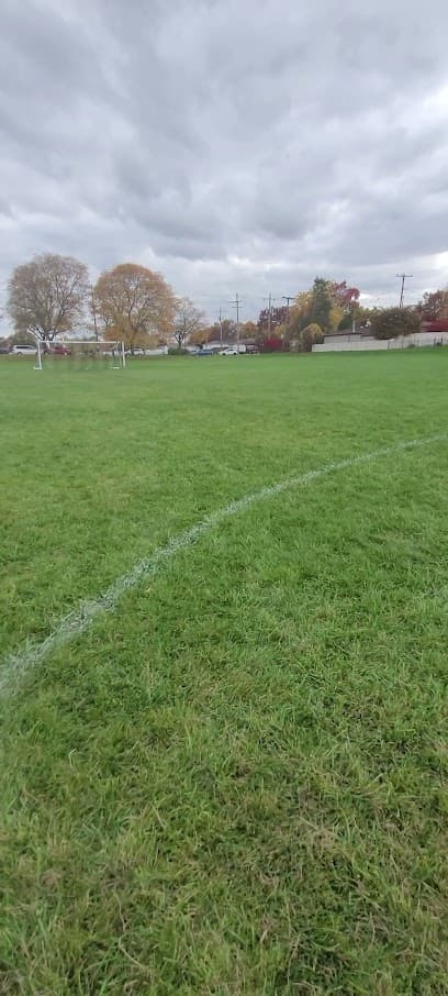 McLouth Park Rush home field
