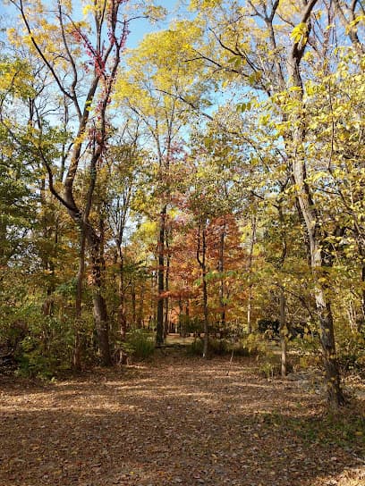 Green Township Community Park