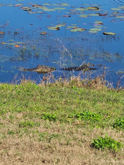 Falcon Watch Golf Driving Range