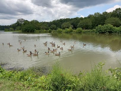 Cooper Creek Fitness Trail