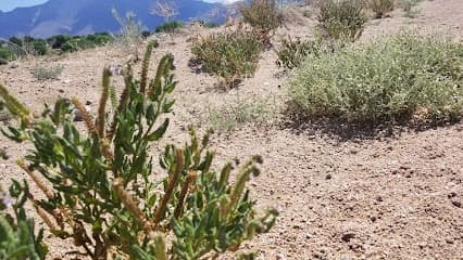 Richard A. Harper Memorial Field