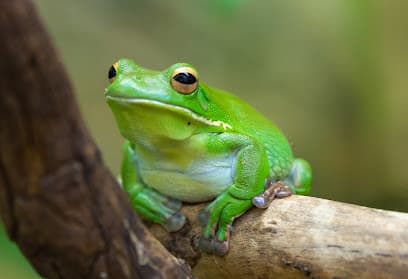 Anne Arundel Park Maintenance
