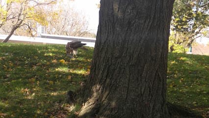 Fairway Mews Community & Golf Club