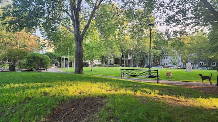 Dana Square Park