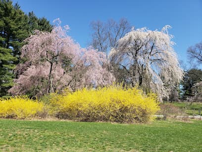Hart’s Brook Park and Preserve