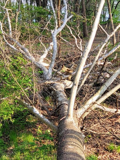 Hobby Hill East Park