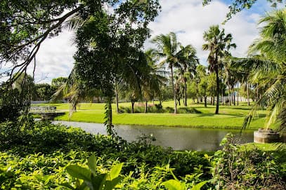 The Bridges at Springtree Golf Club
