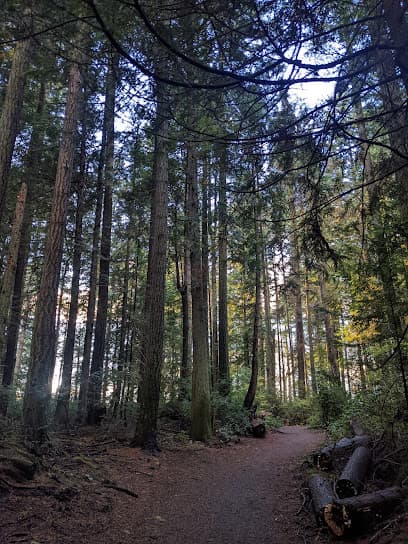 Grand Forest Hilltop At Pru's