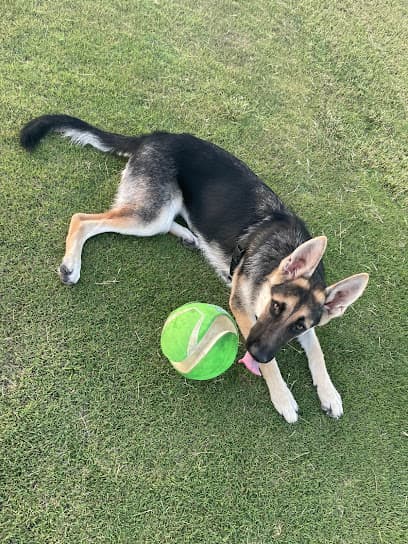 Carver Recreation Center