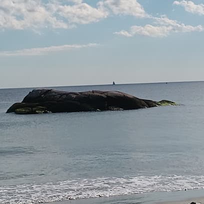 Elephant Rock Beach Club