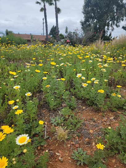 Tecolote Canyon Trailhead
