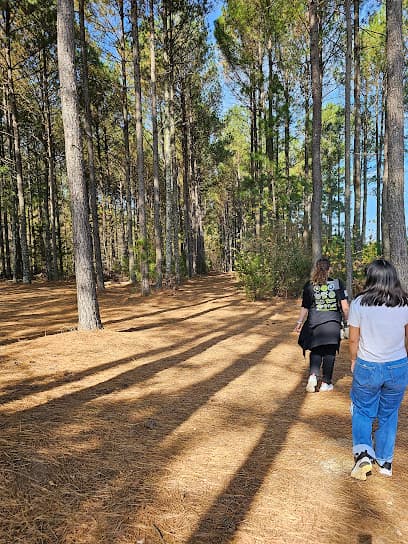 Heritage Pines Disc Golf Course