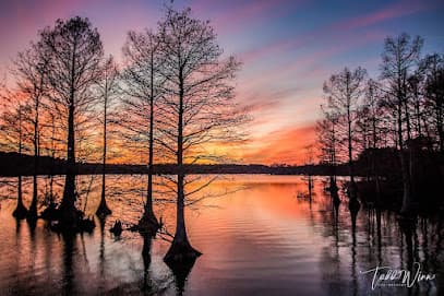 Stumpy Lake Natural Area