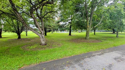 Darnestown Local Park