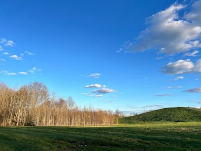 Glasgow Regional Park Pavilion 3