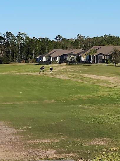 Grand Reserve Golf Club