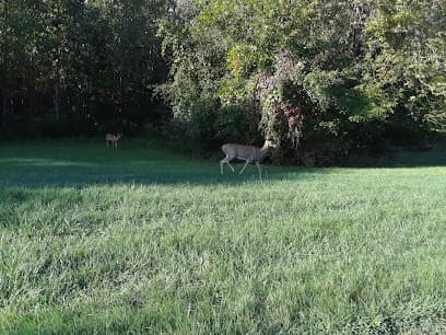 Parkland Recreation Area