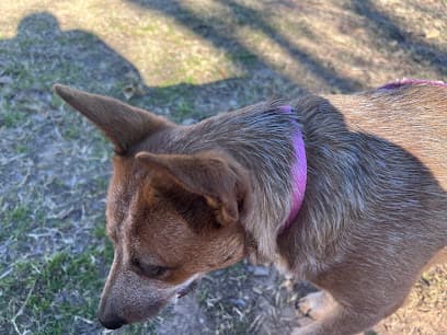 Cunningham School Park