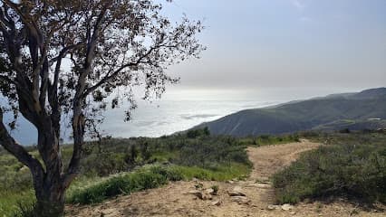 Charmlee Wilderness Park