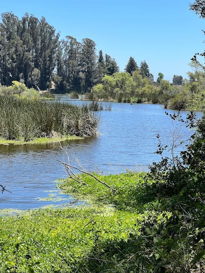 Pinto Lake County Park