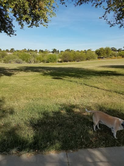 Cave Creek Park - Cactus