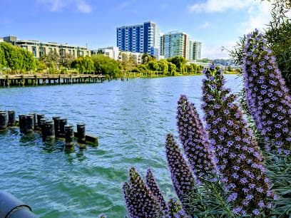 Mission Bay Park System