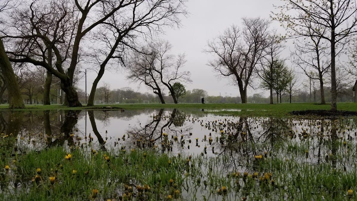 Douglass Football/Soccer Field- Artificial Turf